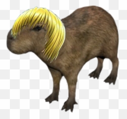 Kurapika Capybara Sticker - Animal Figure Emoji,Capybara Emoji