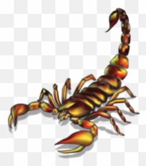 Scorpion Illustration - Realistic Scorpion Tattoo Ideas Scorpion November 10 Zodiac Emoji,Emoji Temporary Tattoos