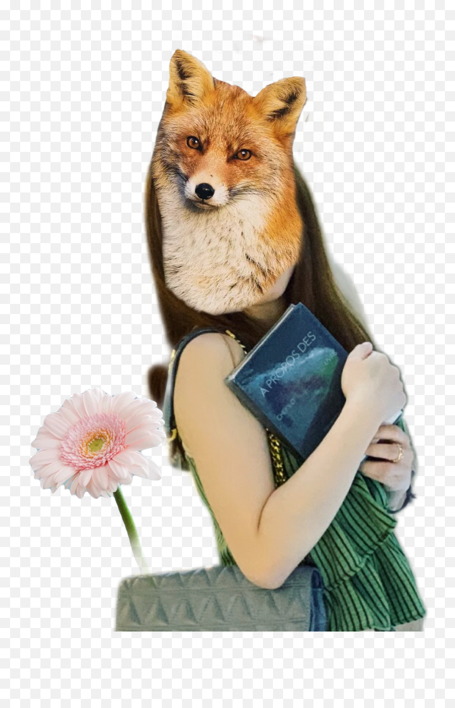Chelsea Yang - Red Fox Emoji,Red Fox Emotion