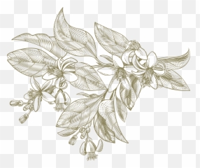 Document - Sketch Emoji,Colorof Emotion