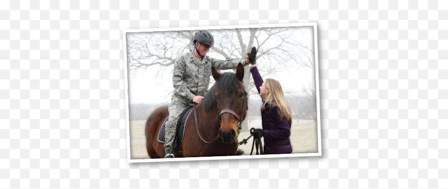 Equine Services For Heroes - Loudoun Therapeutic Riding Association Emoji,Emotion Horse Rider Metaphor