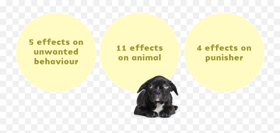 20 Problems With Punishment In Animal - Photo Caption Emoji,Animals Emotions