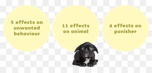 20 Problems With Punishment In Animal - Photo Caption Emoji,Animals Emotions