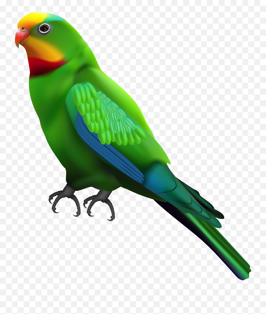 Parrot Clipart Smart Emoji,Cockatoo Facebook Emoji