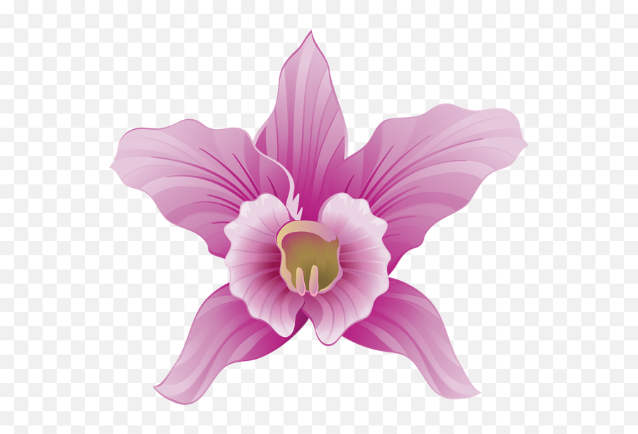 Orchid Clipart Lilac Orchid Lilac Transparent Free For - Portable Network Graphics Emoji,Orchid Emoji