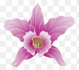 Orchid Clipart Lilac Orchid Lilac Transparent Free For - Portable Network Graphics Emoji,Orchid Emoji