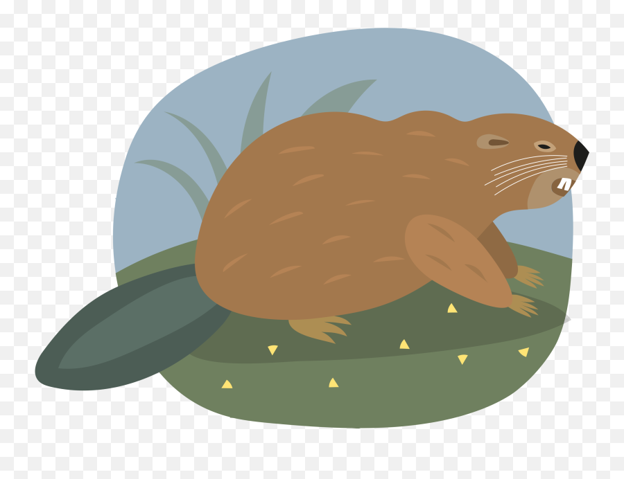 Beaver Clipart Free Download Transparent Png Creazilla - Groundhog Day Emoji,Beaver Emoji