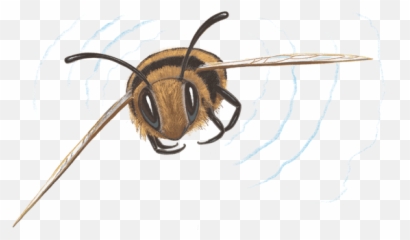 Home Humm Hive Emoji,Bee Hive Emoji