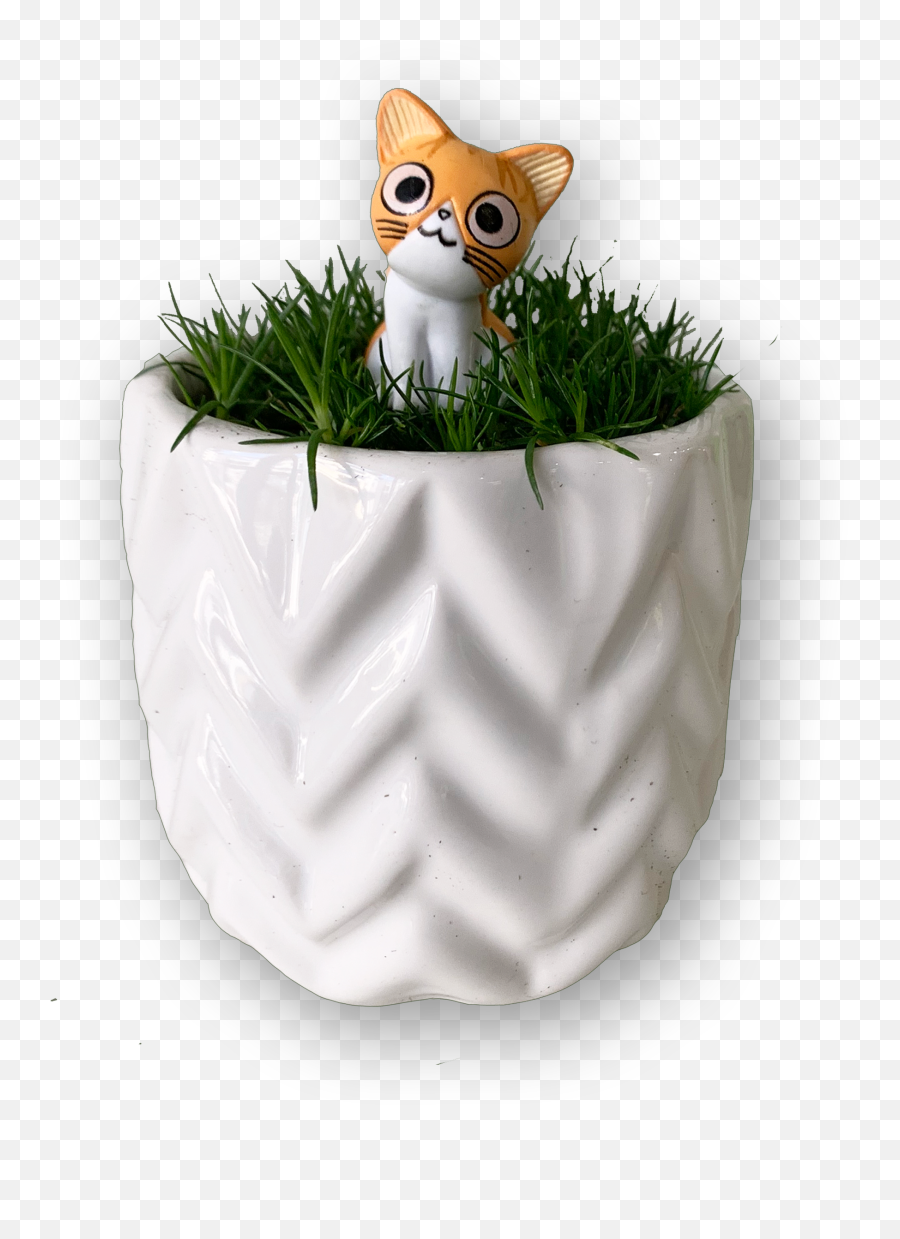Microplantstudiocom Plants With Roots - Micro Plant Studio Flowerpot Emoji,Potted Plant Emoji