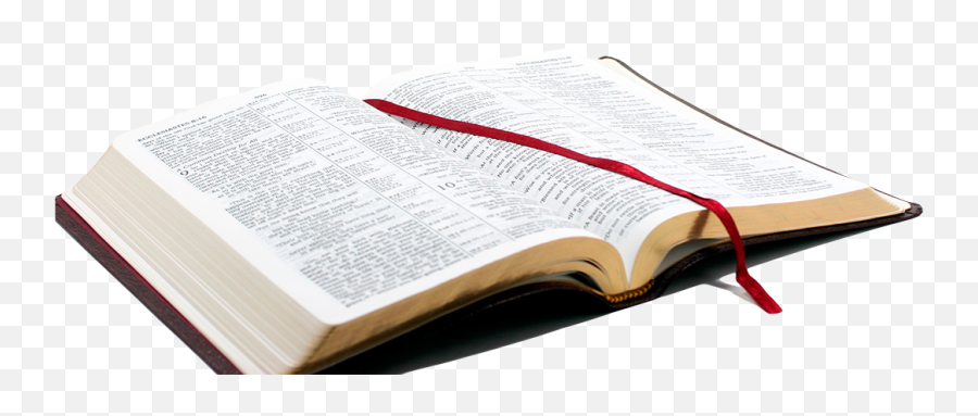 Open Bible Clip Art Png Download Transparent Png - Full Size Full Hd Bible Emoji,Holy Bible Emoji
