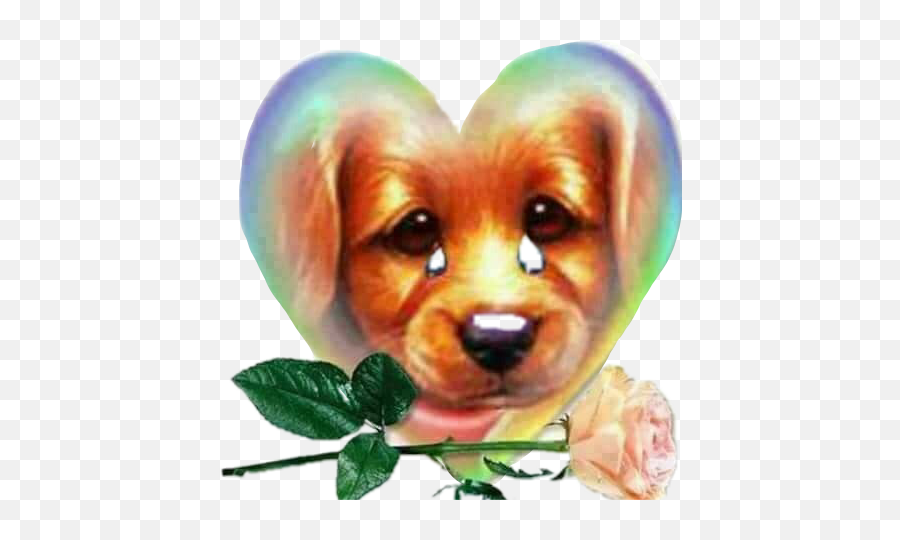 Dog Crying Tears Rose Animal Sticker - Love You And Miss You Sweetheart Emoji,Crying Dog Emoji