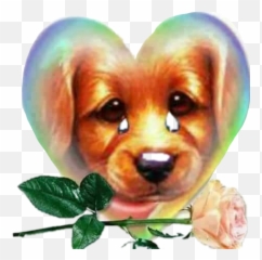 Dog Crying Tears Rose Animal Sticker - Love You And Miss You Sweetheart Emoji,Crying Dog Emoji