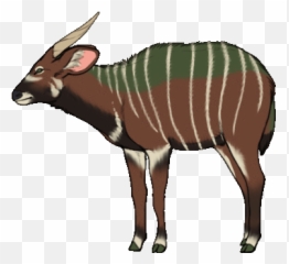 Willing Participantscharacter Use Consentthing The - Bongo Emoji,Ok_hand Emoji