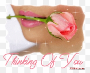 Httpsindahkasihkuwordpresscom20170306tiga - Bukti Thinking Of You On Thursday Gif Emoji,Emoticon Sedih Gif
