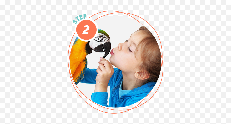 Help For Feather Plucking In Birds Birdsuppliescom - Can Humans Can Contract Psittacosis Emoji,How Birds Show Emotions