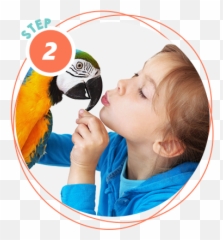 Help For Feather Plucking In Birds Birdsuppliescom - Can Humans Can Contract Psittacosis Emoji,How Birds Show Emotions