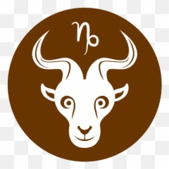 Personal Insights U2013 The Soothe Sayer - Capricorn January 2021 Emoji,Capricorn Emotions