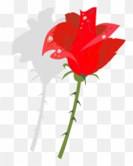 I Am Thankful That Thorns Have Roses Triumph Of The Spirit - Flower Thorn Clipart Emoji,Charice Pempengco Emotions