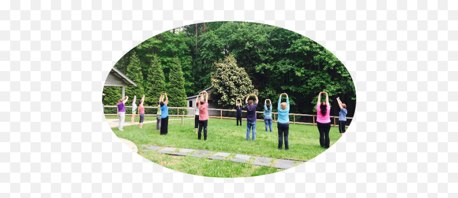 Qigong Wellness - Leisure Emoji,Taming Emotions With Qigong