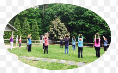 Qigong Wellness - Leisure Emoji,Taming Emotions With Qigong