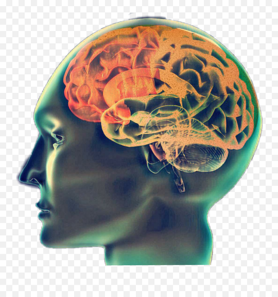 Brain emoji. ЭМОДЖИ мозг. Обезвоживание мозга симптомы. Голова мозг постмодерн.
