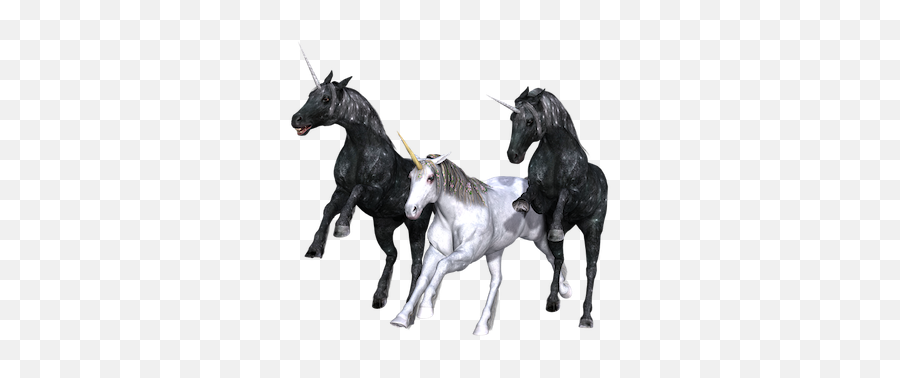 Black Unicorn Mythology Meaning In Dreams Literature - Black Unicorn Emoji,Positive Emotions By The Color Black