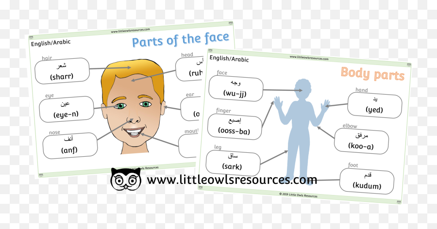 Free Dual Language - Part Of The Face In Russian Emoji,Arabic Parts Emotion