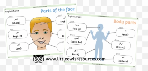 Free Dual Language - Part Of The Face In Russian Emoji,Arabic Parts Emotion