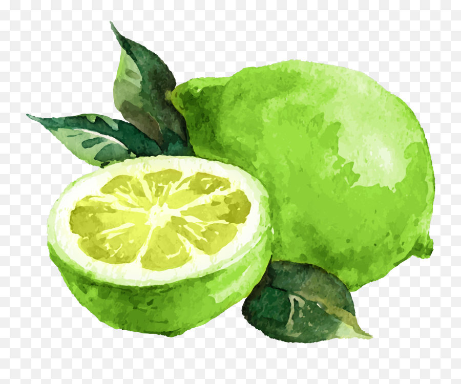 Faq U2014 Linen Lime - Kaffir Lime Emoji,Essential Oils Emotions Images