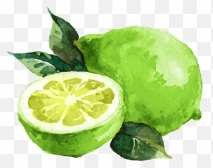 Faq U2014 Linen Lime - Kaffir Lime Emoji,Essential Oils Emotions Images