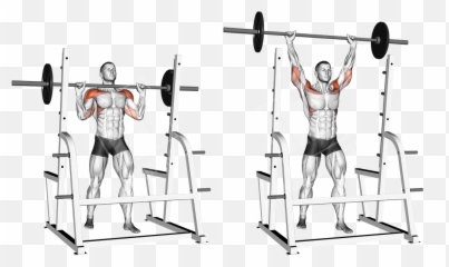 Boulder Shoulders Workout - Overhead Press Transparent Emoji,Gym Emotion Lever