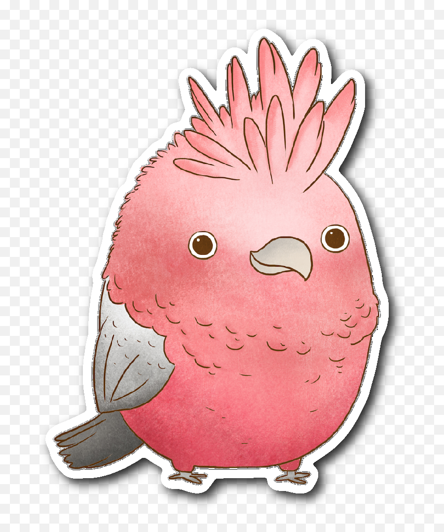 Download Galah Cockatoo Sticker - Galah Cockatoo Png Emoji,Cockatoo Facebook Emoji