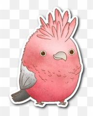 Download Galah Cockatoo Sticker - Galah Cockatoo Png Emoji,Cockatoo Facebook Emoji