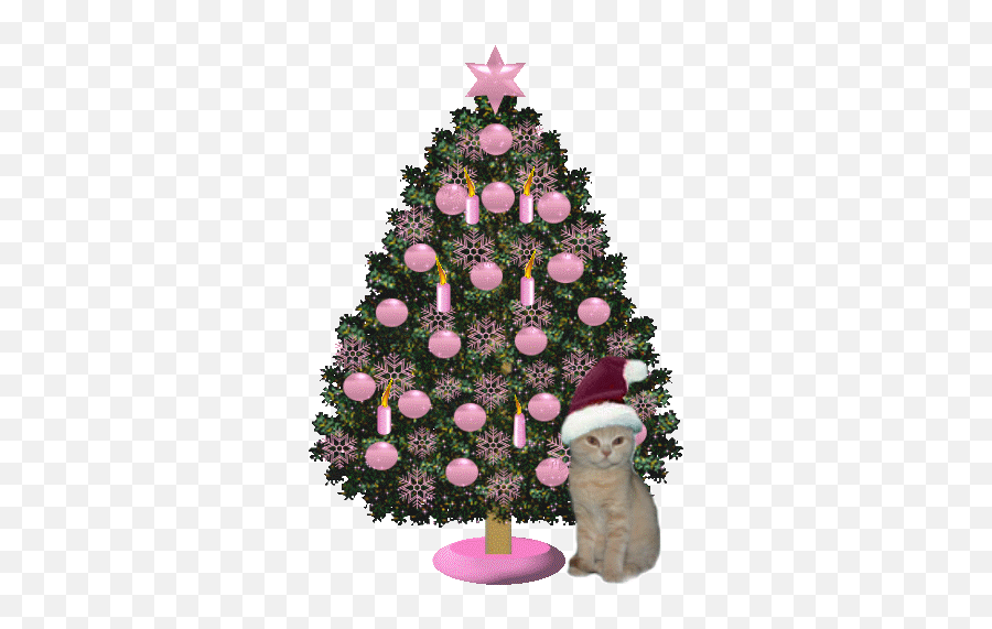 290 Christmas Trees Ideas Christmas Christmas Time Emoji,Pink Sakara Tree Gif Emojis