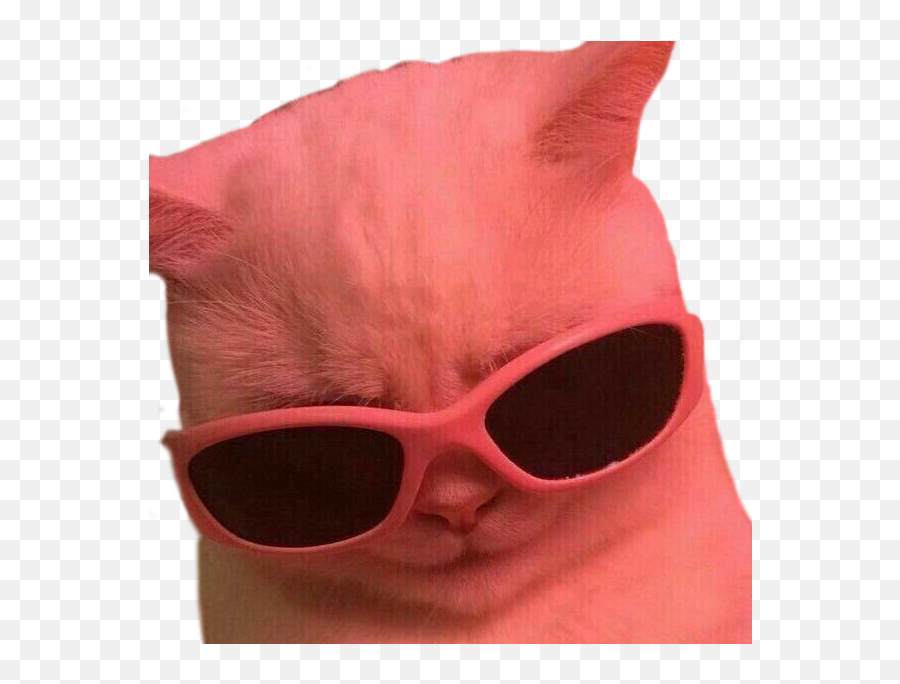 The Most Edited Gatitos Picsart Emoji,Sunglasses Ginger Emoticon