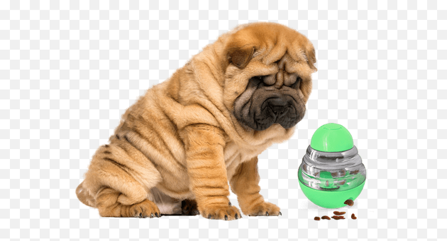 Dog Treat Dispenser Toy Pet Treat Launcher Peggasus Pets Emoji,Shar Pei Emoticon
