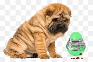 Dog Treat Dispenser Toy Pet Treat Launcher Peggasus Pets Emoji,Shar Pei Emoticon