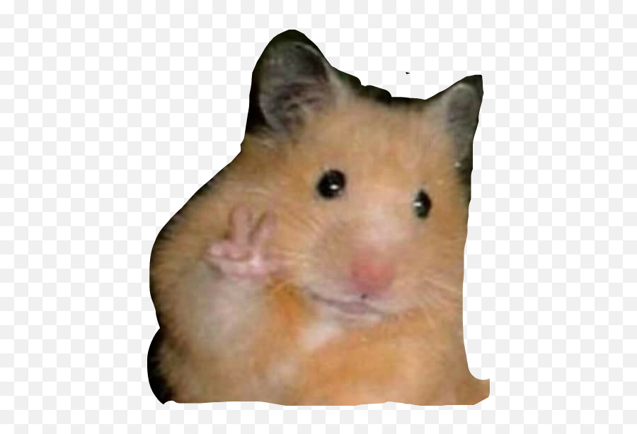 The Most Edited - Hamster Pose Emoji,Mouse Bunny Hamster Emoji