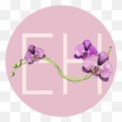 The Mediator Infp - A U2014 Emily S Huth Moth Orchid Emoji,Infp Emotions
