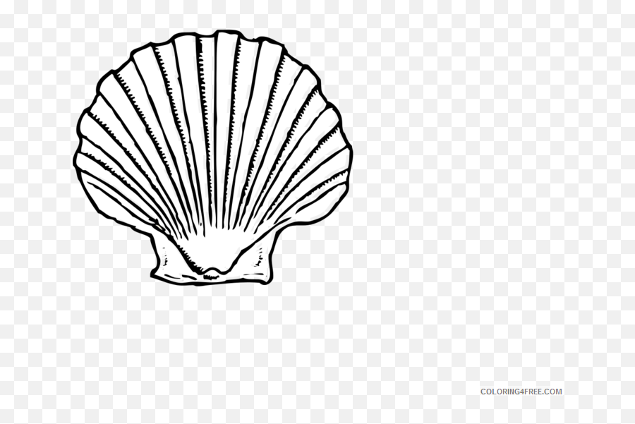 Black And White Seashell Coloring Pages Seashell Printable - Shell Clipart Black And White Png Emoji,Seashell Emoji