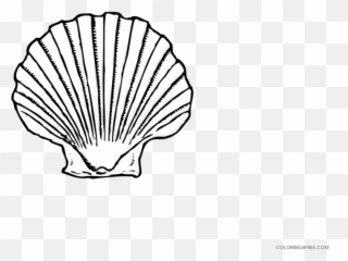 Black And White Seashell Coloring Pages Seashell Printable - Shell Clipart Black And White Png Emoji,Seashell Emoji