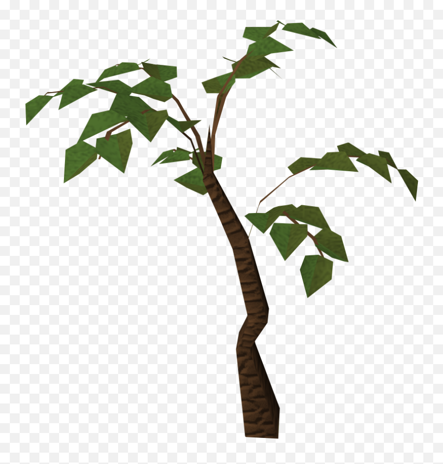 Jungle Tree Png Hd Png Svg Clip Art For Web - Download Clip Jungle Trees Clipart Transparent Emoji,Emojis In Runescape