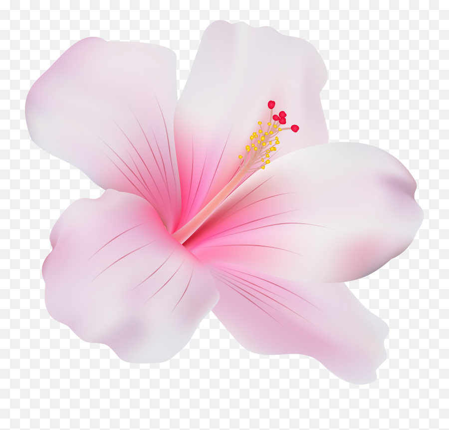 Hawaii Clipart Pink Hibiscus Flower - Pink Hibiscus Flower Transparent Emoji,Hibiscus Emoji