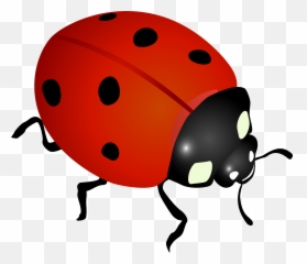 Ladybug Clip Png Images Emoji,What Is The Termite, Ladybug Emoticon