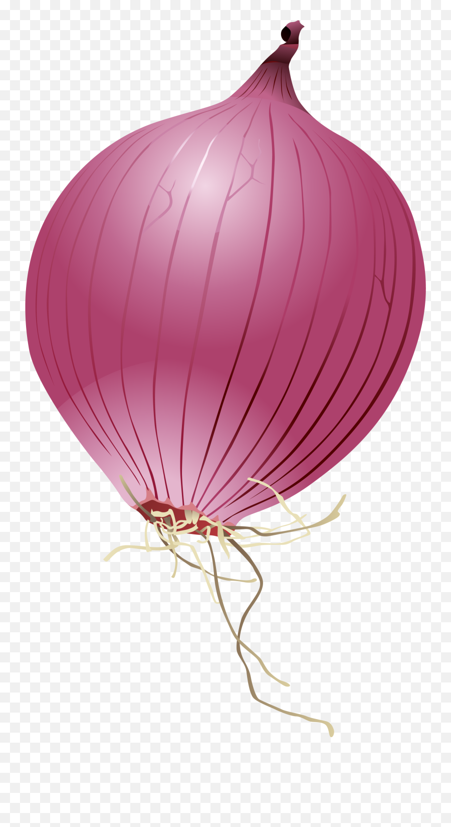 Download Purple Cartoon Onion Download Free Image Clipart - Cartoon Red Onion Png Emoji,Onion Emoticon