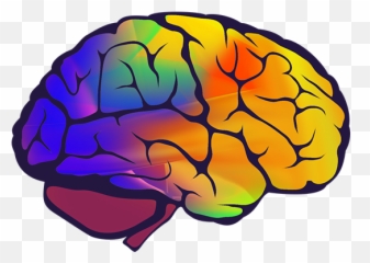 The Brain - For Adult Emoji,Part Of The Brain For Emotions