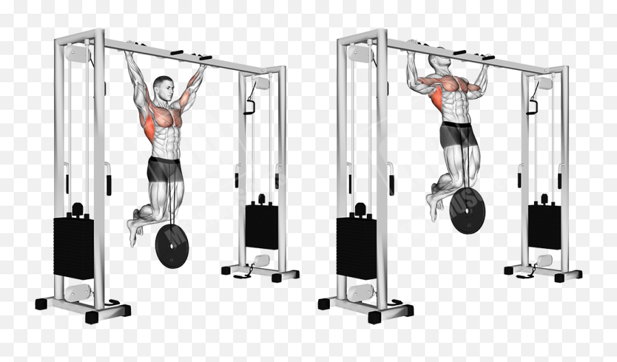 Mountain Back Workout - Weighted Pull Ups Illustration Emoji,Gym Emotion Lever