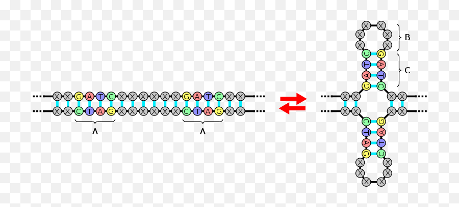 What Is The Most Awesome Palindrome - Quora Emoji,Emotion Revel Sit-in Kayak