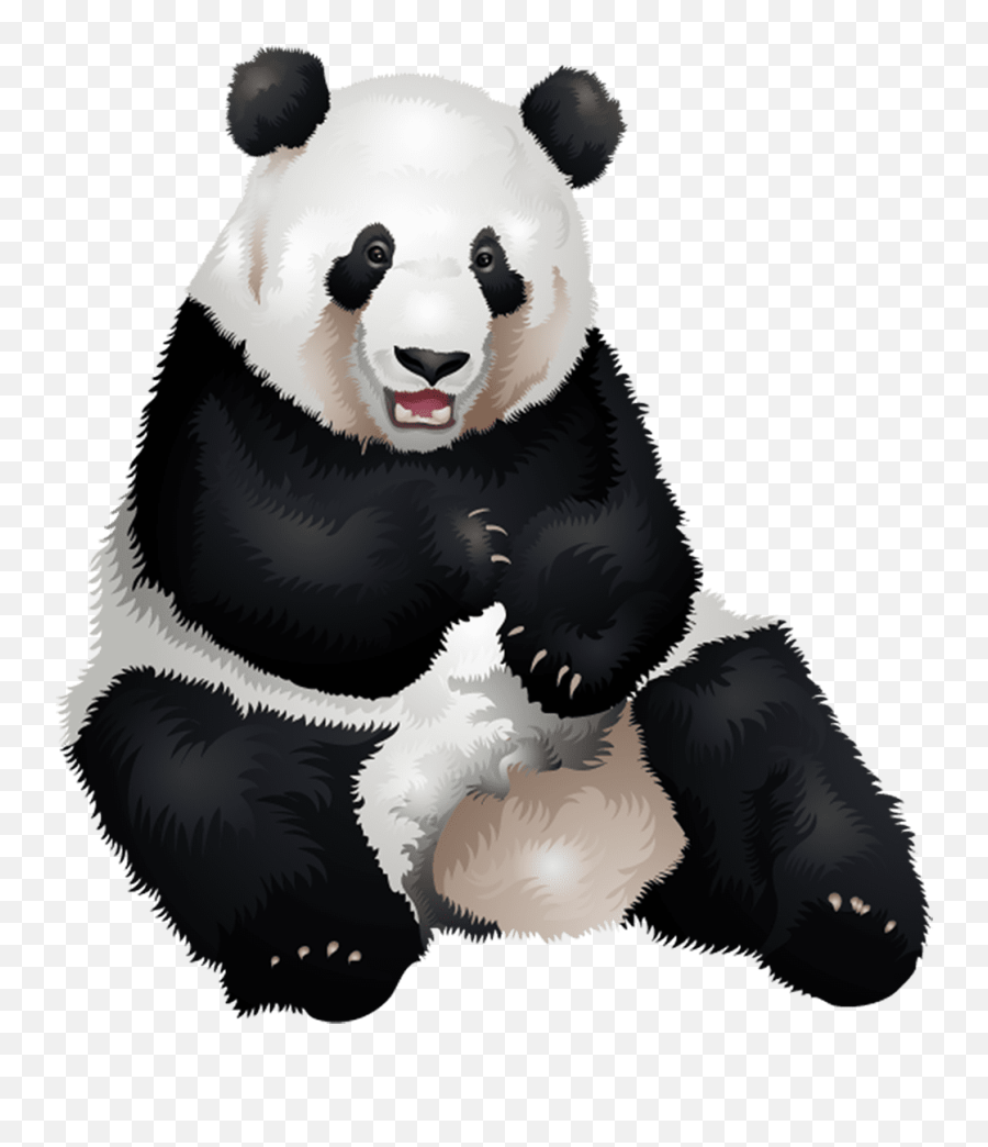 Panda Bear T - Shirt Vibrant Vector Emoji,Cartoon Panda Emotions Chart