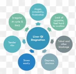 Chinese Medicine And Fertility 1 Chinese Medicine - Sharing Emoji,Liver Meridian Emotions